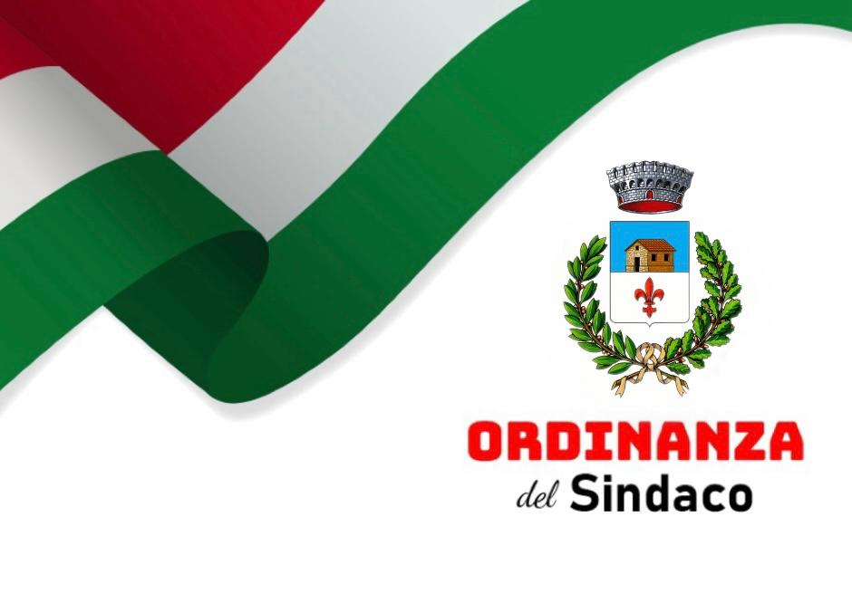 Ordinanza n. 16 - 2025